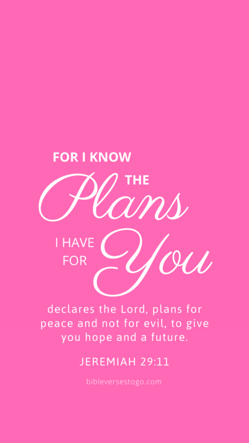 Christian Wallpaper – Hot Pink Jeremiah 29:11