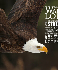 Isaiah 40:31 - Wings Like Eagles - Bible Verses To Go
