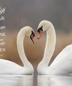 James 1:19 - Swift to Hear - Bible Verses To Go