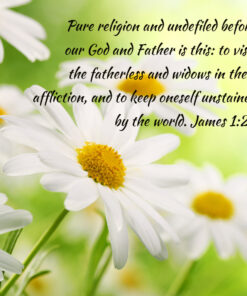 James 1:27 - Visit Fatherless and Widows - Bible Verses To Go