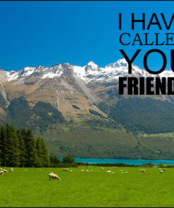 John 15:15 - Call You Friends - Bible Verses To Go