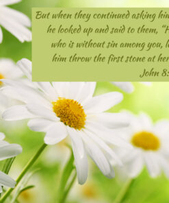 John 8:7 - Let Him Throw the First Stone - Bible Verses To Go