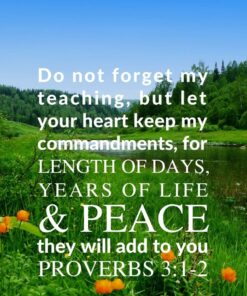 Christian Wallpaper - June River Proverbs 3:1-2