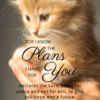 Christian Wallpaper - Kitten Jeremiah 29:11