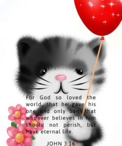 Christian Wallpaper – Kitty John 3:16