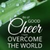 Christian Wallpaper - Ladybug John 16:33