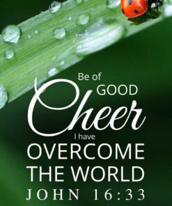 Christian Wallpaper - Ladybug John 16:33