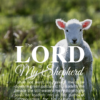 Christian Wallpaper – Lamb Psalm 23:1-3