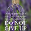 Christian Wallpaper - Lavender Bottle Galatians 6:9
