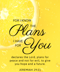 Christian Wallpaper - Lemon Jeremiah 29:11