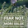 Christian Wallpaper - Little Sparrow Matthew 10:30-31