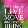 Christian Wallpaper - Lotus in Pink Acts 17:28