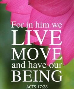 Christian Wallpaper - Lotus in Pink Acts 17:28