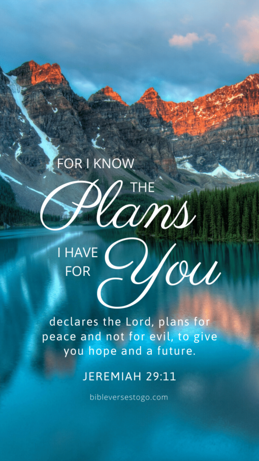 Christian Wallpaper - Louise Jeremiah 29:11