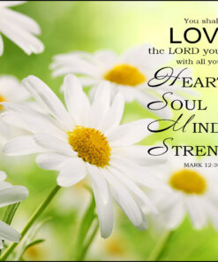 Mark 12:30 - Love the Lord God - Bible Verses To Go