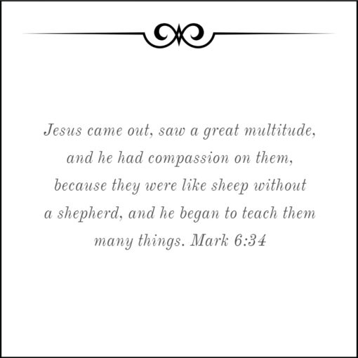 Mark 6:34 - He Had Compassion on Them - Bible Verses To Go