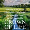 Christian Wallpaper - Meadow Creek James 1:12