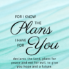 Christian Wallpaper - Mint Lines Jeremiah 29:11