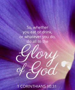 Christian Wallpaper - Morning Glory 1 Cor 10:31