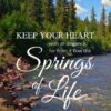 Christian Wallpaper - Mountain Stream Proverbs 4:23