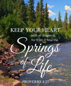 Christian Wallpaper - Mountain Stream Proverbs 4:23