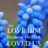 Christian Wallpaper - Muscari 1 John 4:19