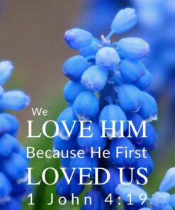 Christian Wallpaper - Muscari 1 John 4:19