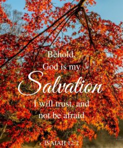 Christian Wallpaper - My Salvation Isaiah 12:2