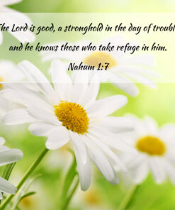 Nahum 1:7 - Take Refuge in Him - Bible Verses To Go