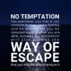 Christian Wallpaper - Night Light 1 Corinthians 10:13