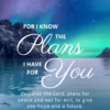 Christian Wallpaper - Northlight Jeremiah 29:11