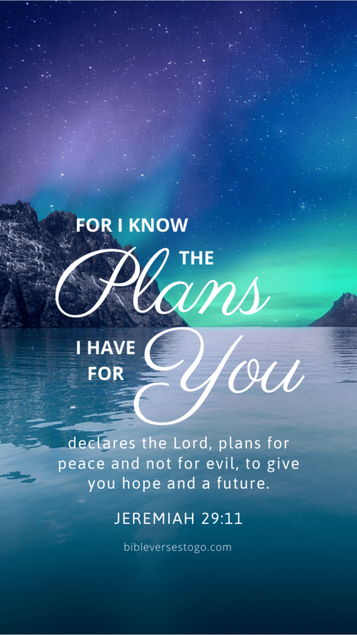 Christian Wallpaper - Northlight Jeremiah 29:11