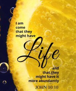 Christian Wallpaper - Orange Slice John 10:10