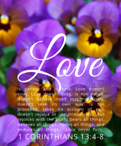 Christian Wallpaper – Pansies 1 Corinthians 13:4-8