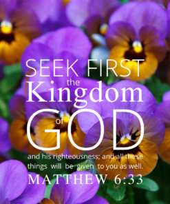 Christian Wallpaper – Pansies Matthew 6:33