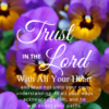 Christian Wallpaper – Pansies Proverbs 3:5-6