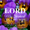 Christian Wallpaper – Pansies Psalm 23:1-3