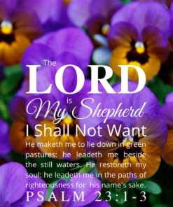 Christian Wallpaper – Pansies Psalm 23:1-3