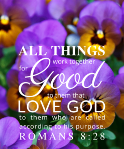 Christian Wallpaper – Pansies Romans 8:28