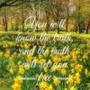 Christian Wallpaper - Park Flowers John 8:32