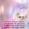 Christian Wallpaper – Pastels Jeremiah 29:11