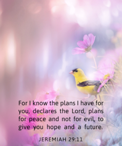 Christian Wallpaper – Pastels Jeremiah 29:11
