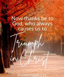 Christian Wallpaper - Path to Victory 2 Corinthians 2:14
