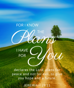 Christian Wallpaper - Pathway Jeremiah 29:11