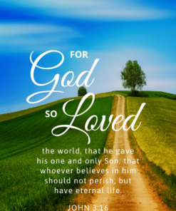 Christian Wallpaper - Pathway John 3:16