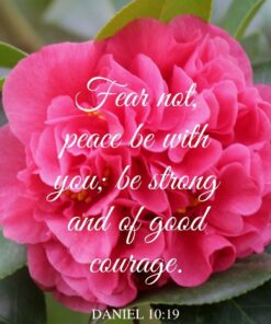 Christian Wallpaper - Peace Be With You Daniel 10:19