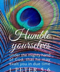 Christian Wallpaper - Peacock 1 Peter 5:6