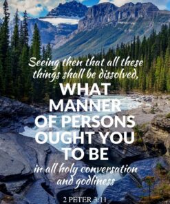 Christian Wallpaper - Pine River 2 Peter 3:11