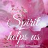 Christian Wallpaper - Pink Blooms Romans 8:26