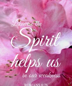 Christian Wallpaper - Pink Blooms Romans 8:26